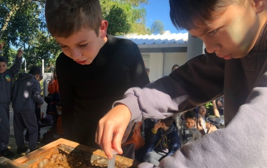 Na semana do meio ambiente, Escola S ensina manejo de abelhas sem ferrão